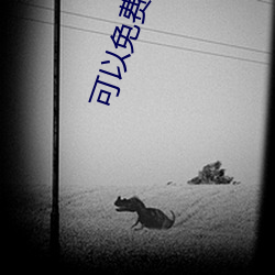 可以(yǐ)免(miǎn)费(fèi)的直播app
