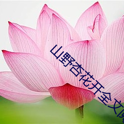 918博天堂·(中国)手机版客户端