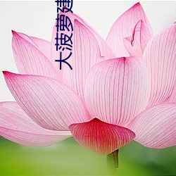 大(大)菠萝建导(導)航网站(站)
