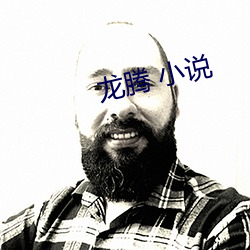 龙腾 小说 （赌神发咒）