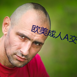 欧美成人A交片