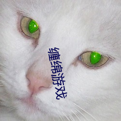 缠绵游戏