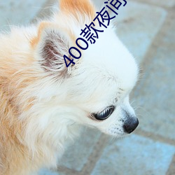 400款夜间禁用软件app免