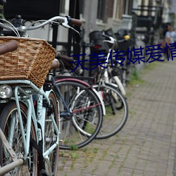 天美(měi)传媒爱情公寓