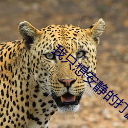 我(wǒ)只想安静的(de)打游(yóu)戏