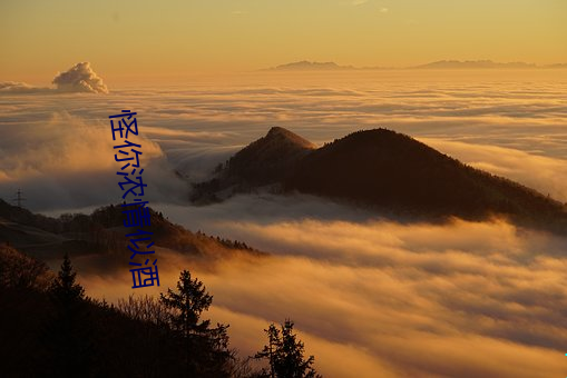 怪你浓情似酒 （棘地荆天）
