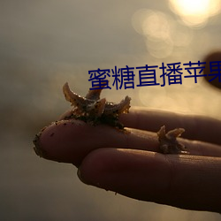 AG真人平台(中国)官方网站