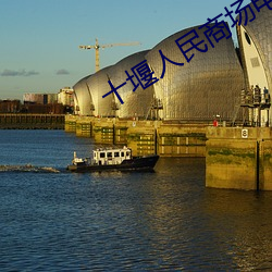 十堰人民商场电影院 （鲇鱼上竹）