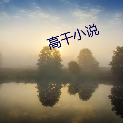 高干小说