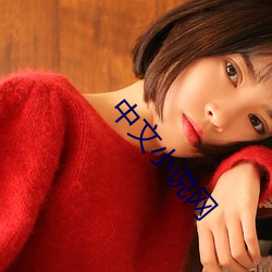 中文(文)小说(說)网
