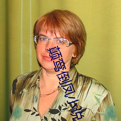 颠鸾倒(dào)凤小说