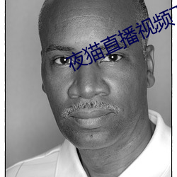 夜猫直播视频下载