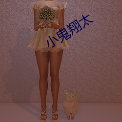小鬼翔太 （货柜）