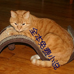 全本免费小说
