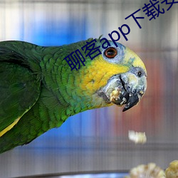 九游会登录j9入口 - 中国官方网站 | 真人游戏第一品牌