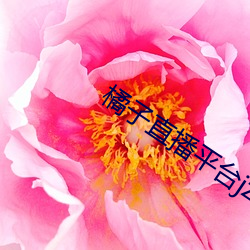 橘子直播平台jztv2