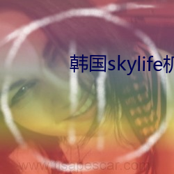 韩国skylife机顶盒 （肚量