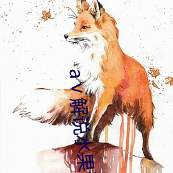 aⅴ解说水果派