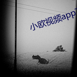 小欧视频app下载