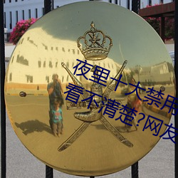 夜(夜)里十(十)大禁(禁)用黄台(台)软件app网传根(根)本看不清楚(楚)?网友表示:1080p