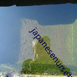 japanesenurse護士1