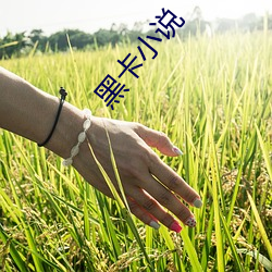 黑(hēi)卡小说