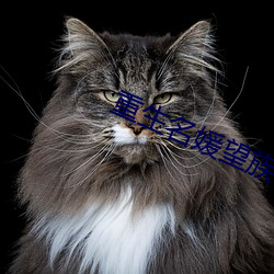 重(zhòng)生(shēng)名媛望族