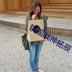 镇国战神杨辰 （极恶穷凶