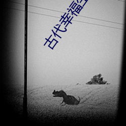 古代幸福生活