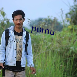 pornu