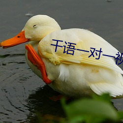 千语一对一视频app