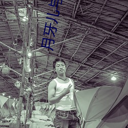 月牙兒與陽光