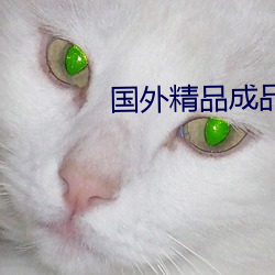 国外(wài)精品成品在线入口