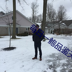 每日一鲍品鉴天下