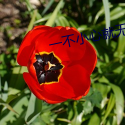 一不小心(心)就无敌(敵)啦