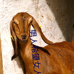 男人(rén)希望女人怎么叫(jiào)