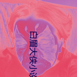 白眉大侠小说