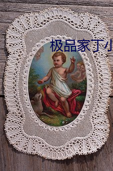 极(jí)品家丁小(xiǎo)说
