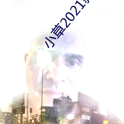 小草2021新地扯一(一)二
