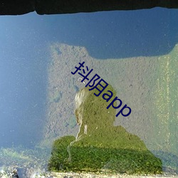 抖阴(陰)app