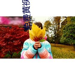 免費黃視頻aop