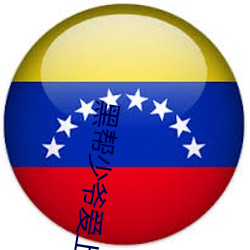 黑幫少爺愛上我電視劇在線
