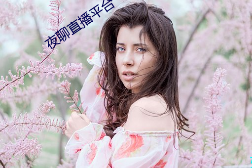 夜聊直播平台