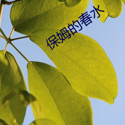 保姆的春水