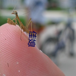 佳媳 （横眉怒视）