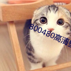 800480高清壁(壁)纸