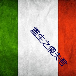 重生(生)之傻夫君
