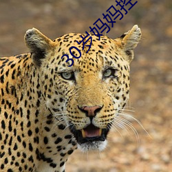 30歲媽媽控制不住發脾氣