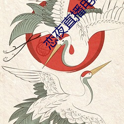 恋夜直播电影