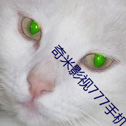vwinӮ(й) - ٷվ